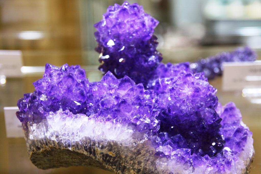 Fewo Purper Frauenberg المظهر الخارجي الصورة